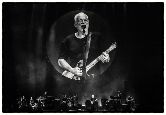 David Gilmour L1026283