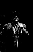 Van Morrison-8770317