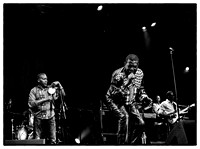 Youssou N'Dour @ WOMAD 2014