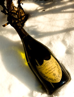Champagne on ice-8961654