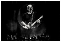 David Gilmour L1026283