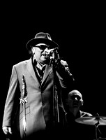 Van Morrison-8770299