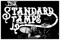 The Standard Lamps 2014 Birmingham NIA